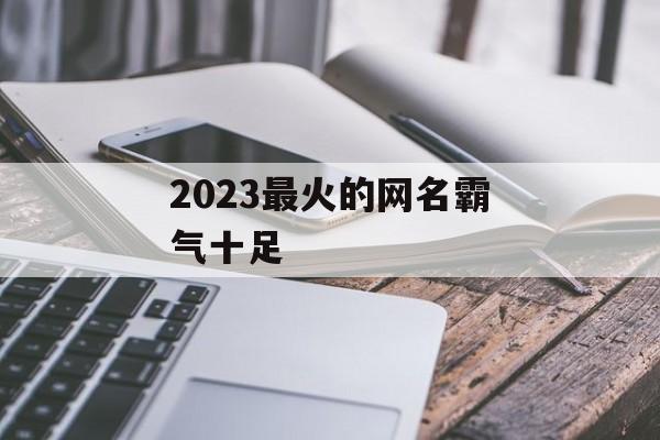 2023最火的网名霸气十足