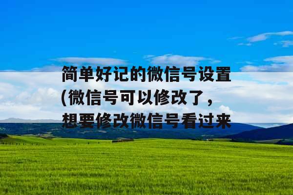 简单好记的微信号设置(微信号可以修改了，想要修改微信号看过来