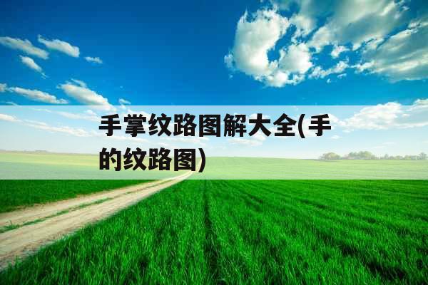 手掌纹路图解大全(手的纹路图)