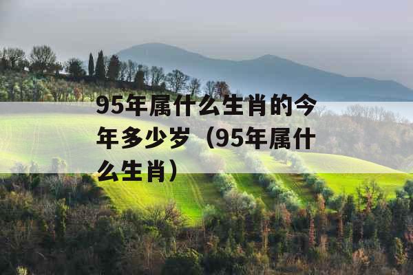 95年属什么生肖的今年多少岁（95年属什么生肖）