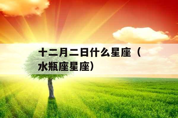 十二月二日什么星座(水瓶座星座) 十二月二日什么星座(水瓶座星座)