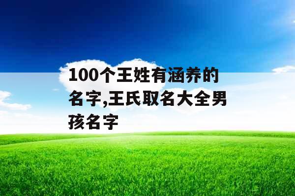 100个王姓有涵养的名字,王氏取名大全男孩名字