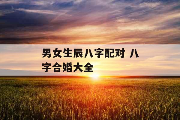 男女生辰八字配对 八字合婚大全