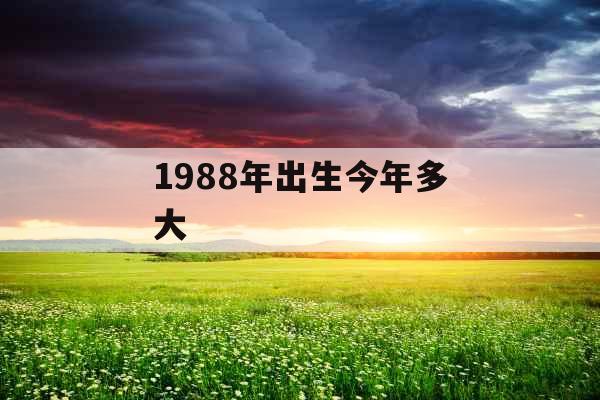 1988年出生今年多大