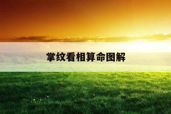 掌纹看相算命图解