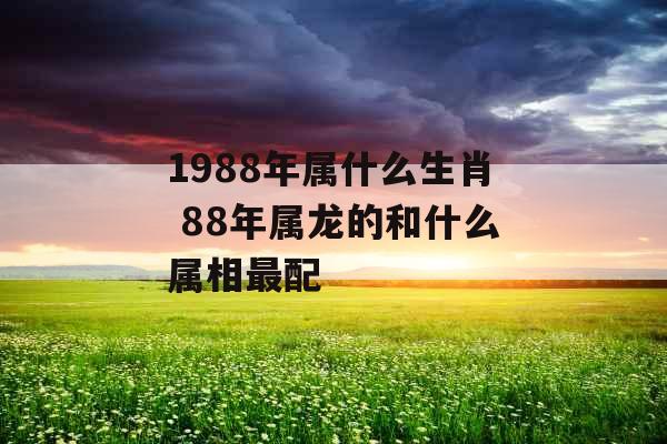 1988年属什么生肖 88年属龙的和什么属相最配