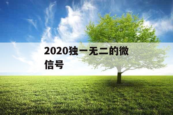 2020独一无二的微信号