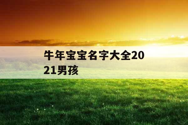 牛年宝宝名字大全2021男孩