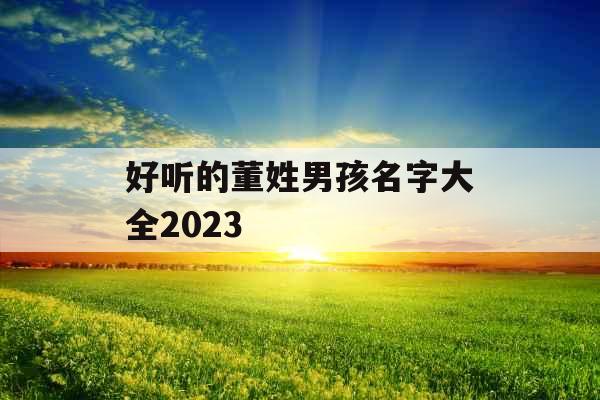 好听的董姓男孩名字大全2023