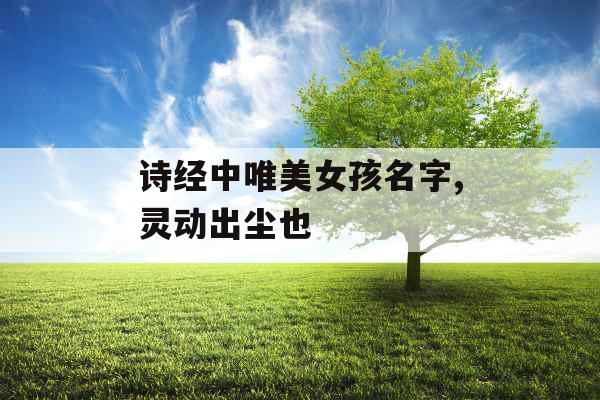 诗经中唯美女孩名字,灵动出尘也