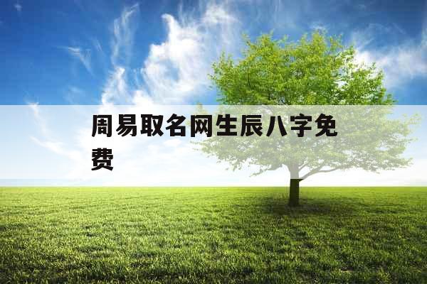 周易取名网生辰八字免费