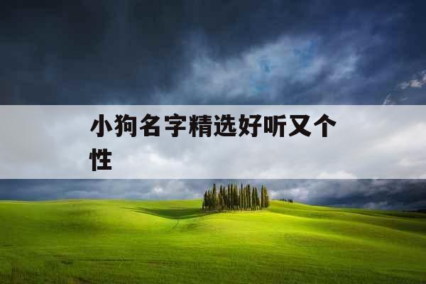 小狗名字精选好听又个性