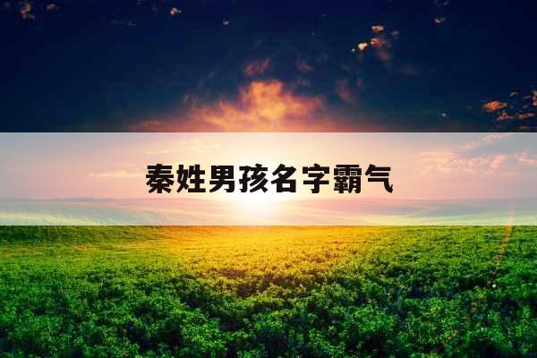 秦姓男孩名字霸气