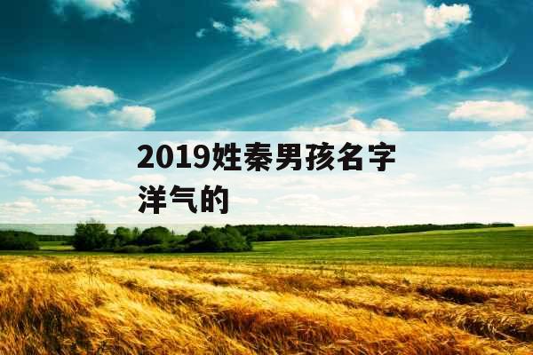 2019姓秦男孩名字洋气的