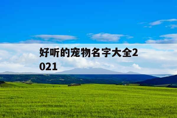 好听的宠物名字大全2021