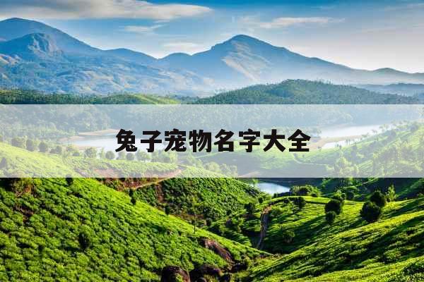 兔子宠物名字大全