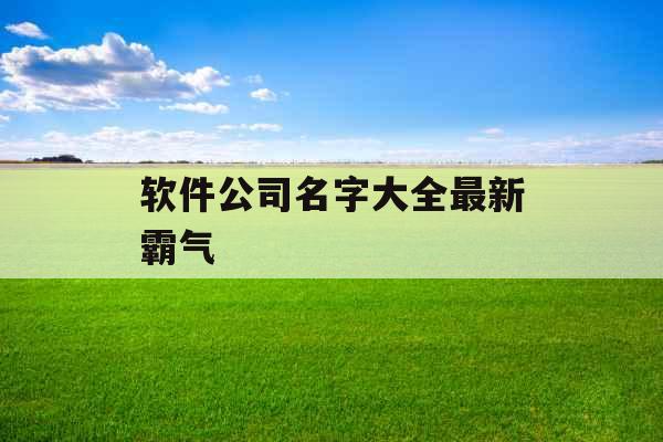 软件公司名字大全最新霸气