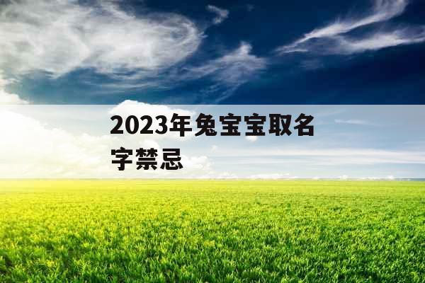 2023年兔宝宝取名字禁忌