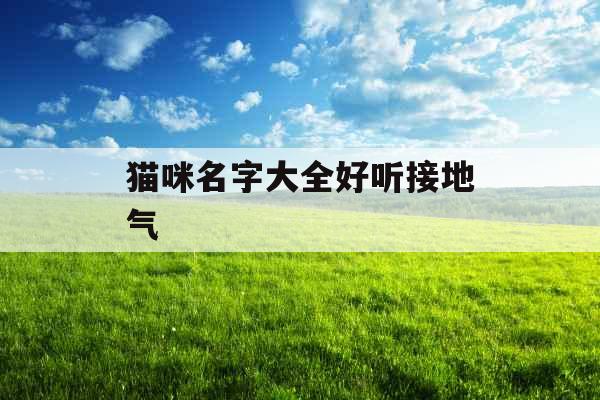 猫咪名字大全好听接地气