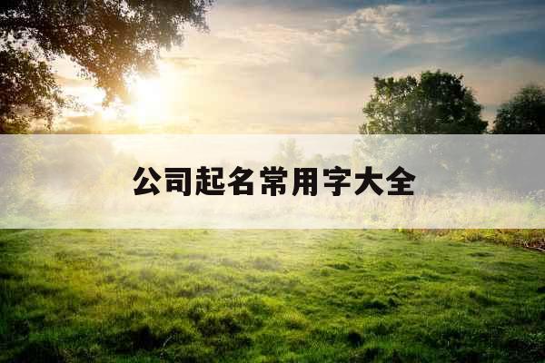 公司起名常用字大全