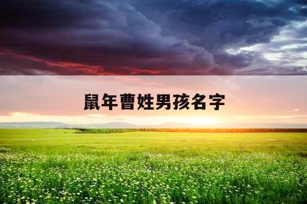 鼠年曹姓男孩名字