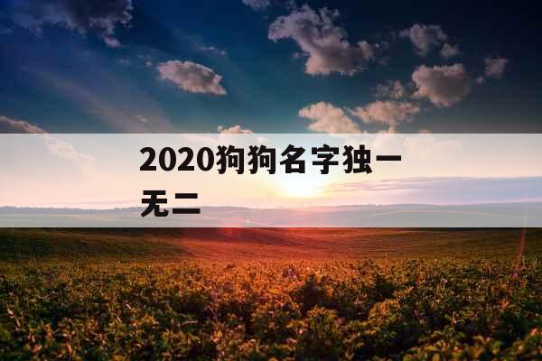 2020狗狗名字独一无二