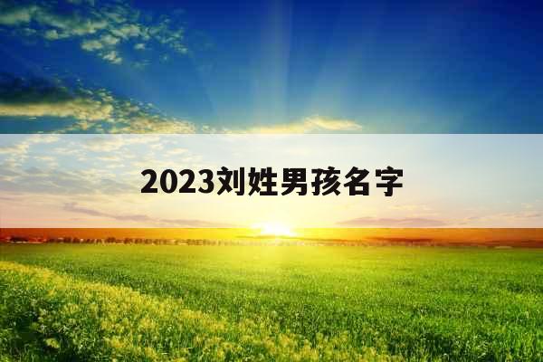 2023刘姓男孩名字