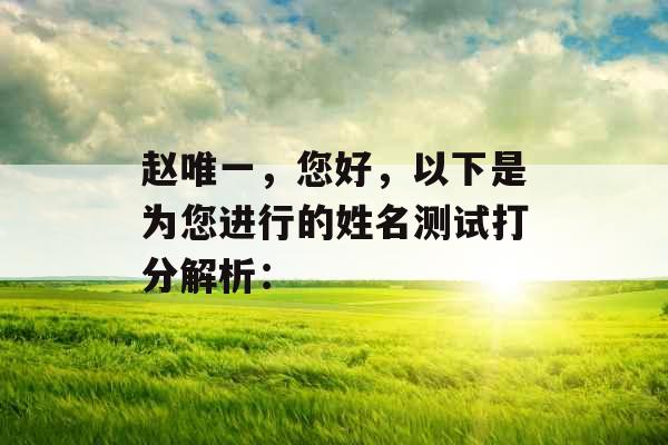 赵唯一，您好，以下是为您进行的姓名测试打分解析：