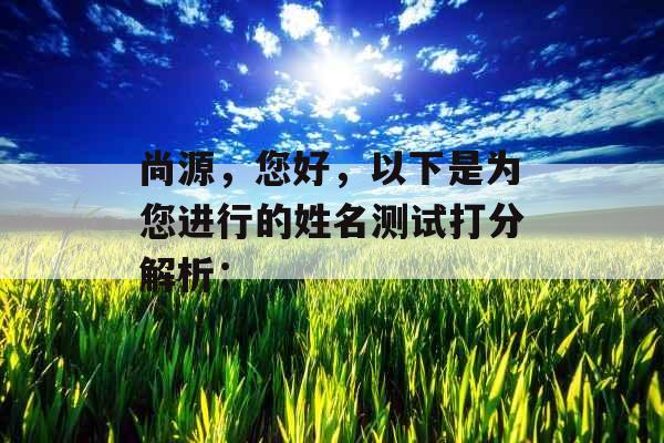 尚源，您好，以下是为您进行的姓名测试打分解析：