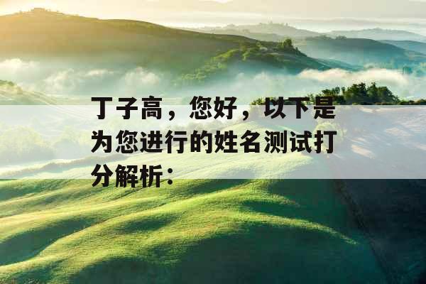 丁子高，您好，以下是为您进行的姓名测试打分解析：