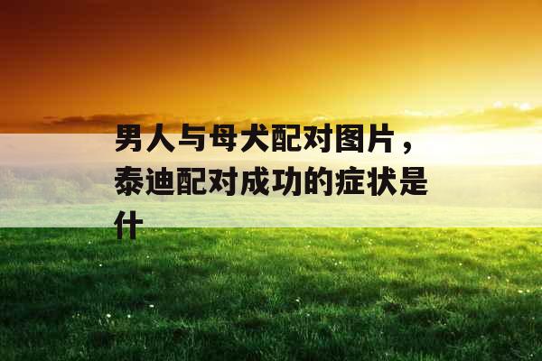 男人与母犬配对图片，泰迪配对成功的症状是什