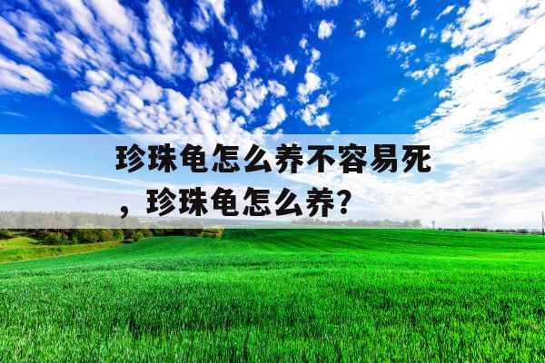 珍珠龟怎么养不容易死，珍珠龟怎么养？