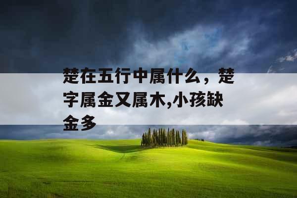 楚在五行中属什么，楚字属金又属木,小孩缺金多
