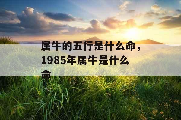 属牛的五行是什么命,1985年属牛是什么命 属牛的五行是什么命,1985年属牛是什么命