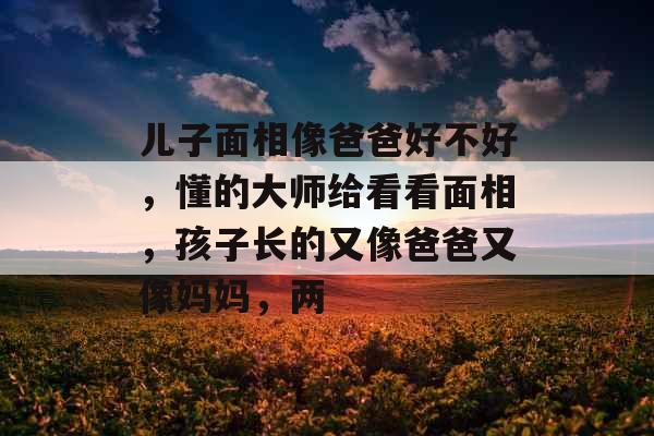 儿子面相像爸爸好不好，懂的大师给看看面相，孩子长的又像爸爸又像妈妈，两