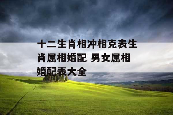 十二生肖相冲相克表生肖属相婚配 男女属相婚配表大全