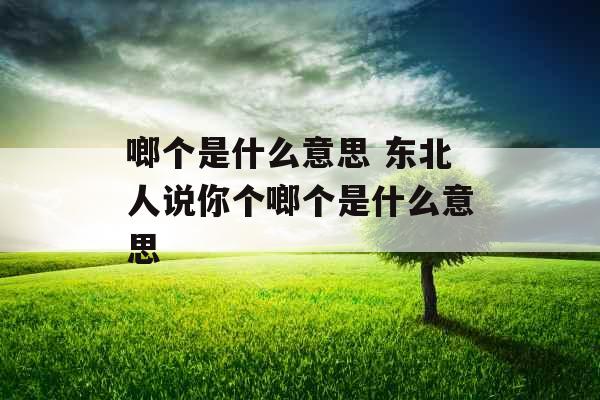 啷个是什么意思 东北人说你个啷个是什么意思