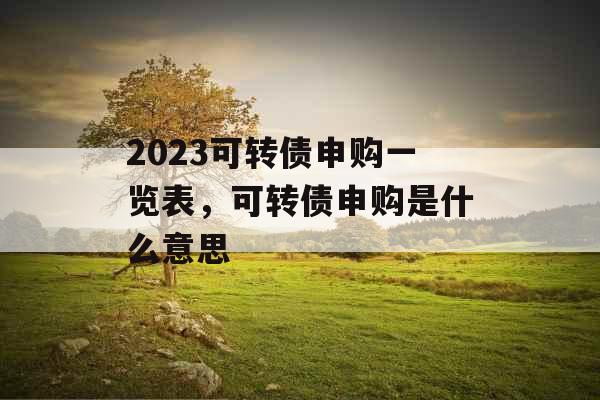 2023可转债申购一览表，可转债申购是什么意思