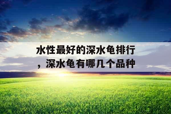 水性最好的深水龟排行，深水龟有哪几个品种