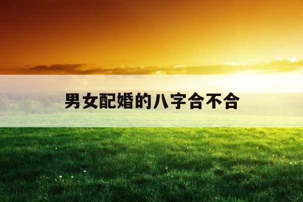男女配婚的八字合不合 男女配婚的八字合不合