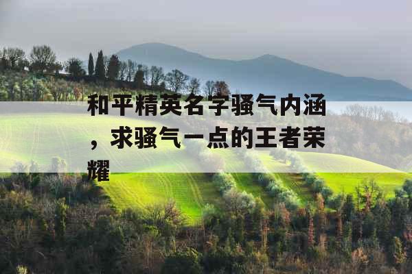 和平精英名字骚气内涵，求骚气一点的王者荣耀