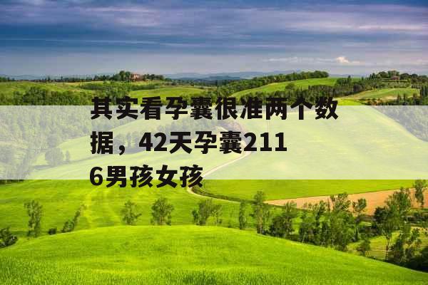 其实看孕囊很准两个数据，42天孕囊2116男孩女孩