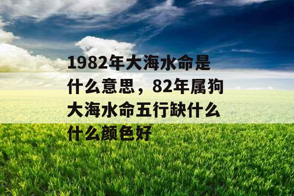 1982年大海水命是什么意思，82年属狗大海水命五行缺什么 什么颜色好