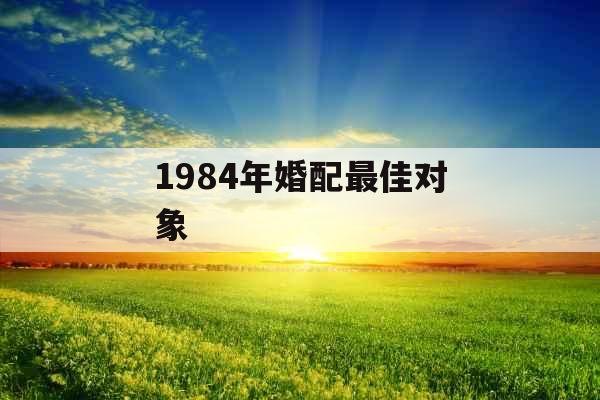 1984年婚配最佳对象