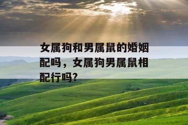 女属狗和男属鼠的婚姻配吗,女属狗男属鼠相配行吗? 女属狗和男属鼠的婚姻配吗,女属狗男属鼠相配行吗?
