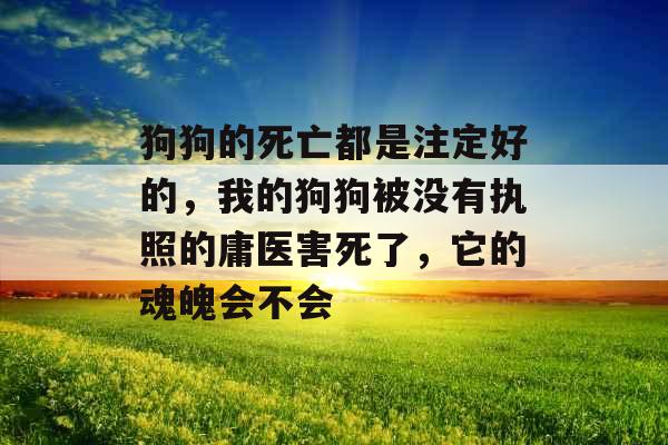 狗狗的死亡都是注定好的,我的狗狗被没有执照的庸医害死了,它的魂魄会不会 狗狗的死亡都是注定好的,我的狗狗被没有执照的庸医害死了,它的魂魄会不会