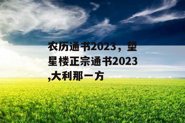 农历通书2023，望星楼正宗通书2023,大利那一方