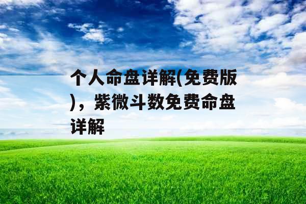 个人命盘详解(免费版)，紫微斗数免费命盘详解