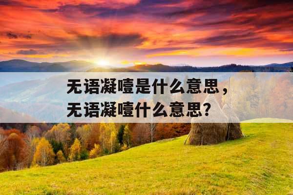 无语凝噎是什么意思，无语凝噎什么意思？