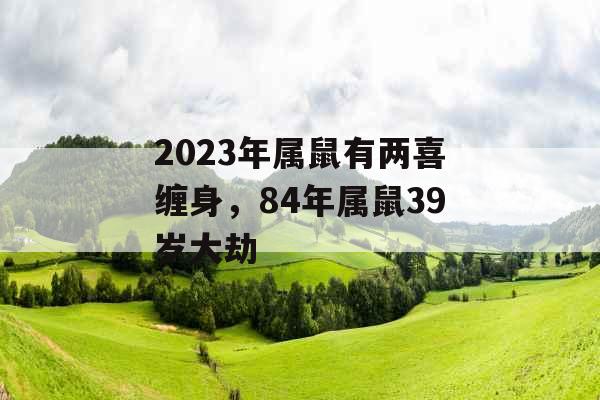 2023年属鼠有两喜缠身，84年属鼠39岁大劫